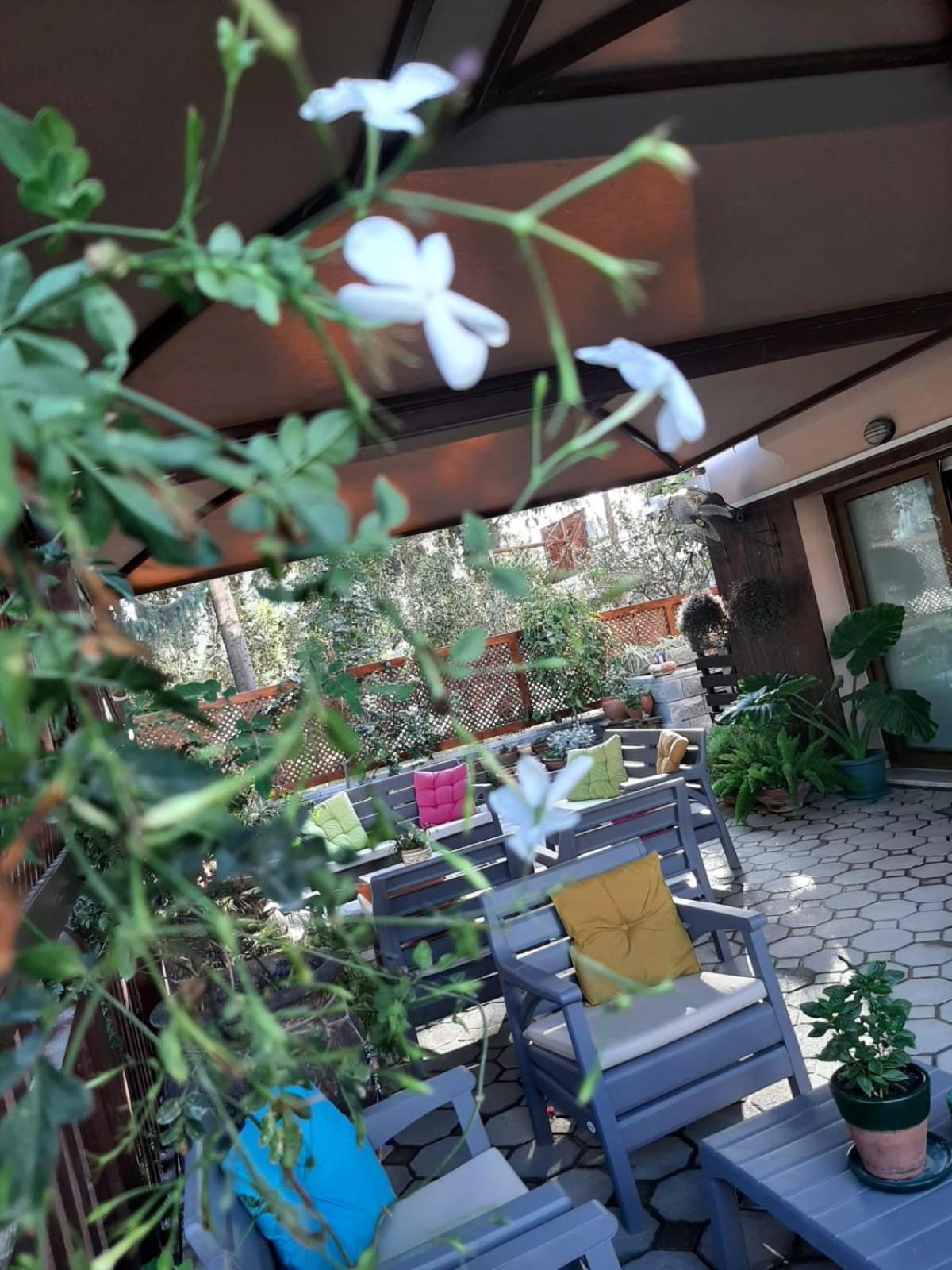 Denge Homes نيقوسيا المظهر الخارجي الصورة
